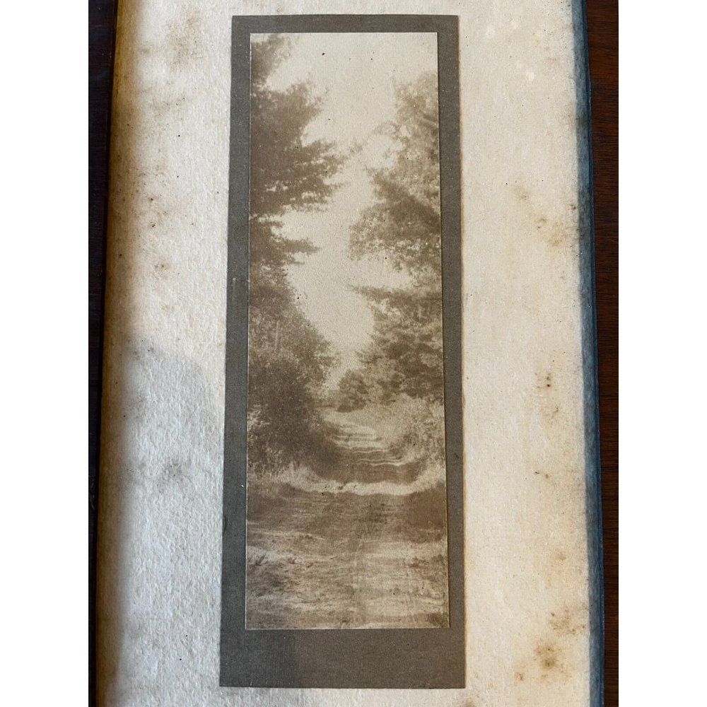 Antique Sepia Tone Photo Photograph of a forest road in a wood frame